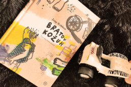 naslovnica knjige Jaap Roben: Bratov kožuh